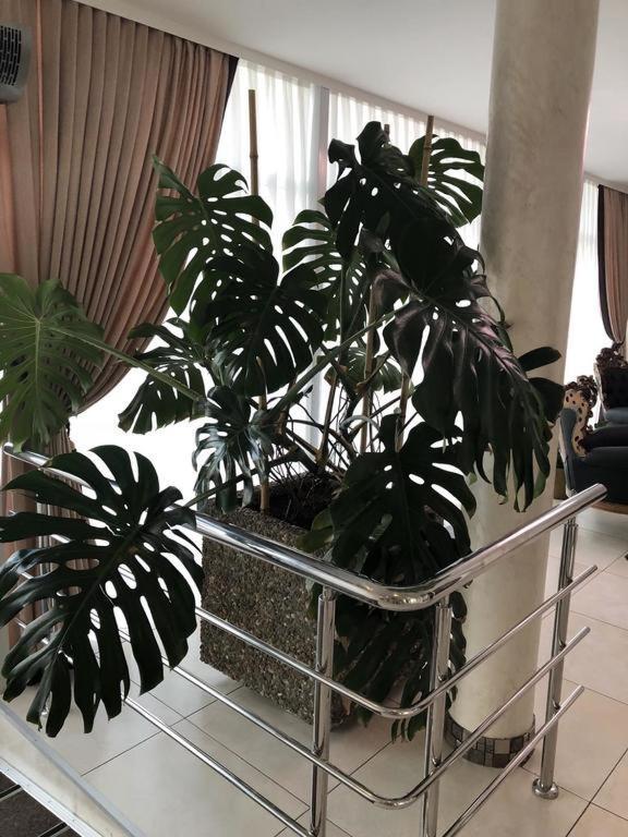 Hotel Перлина Saevka المظهر الخارجي الصورة